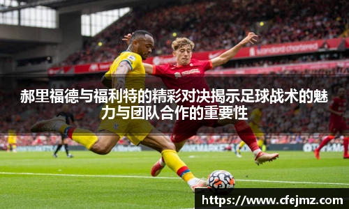 博鱼中国官方入口