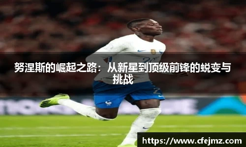 努涅斯的崛起之路：从新星到顶级前锋的蜕变与挑战